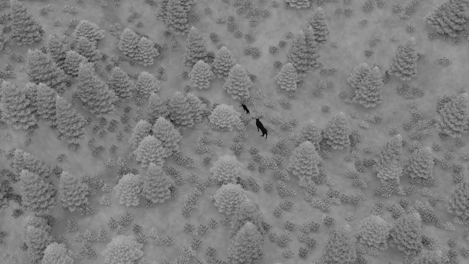 Aerial wildlife monitoring view near mining operations